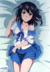 2025年最新】ストライク・ザ・ブラッド くじ引き堂の人気アイテム