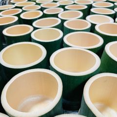 夏休みの宿題に是非❗️風格厳選天然竹長さ1m幅5〜6 cm10本即送 白竹 （晒竹）1.5m×20本 肉厚で耐久性のある竹。（支柱、雪囲い