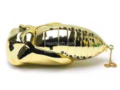 2025年最新】オオゴマダラの人気アイテム - メルカリ