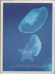 2025年最新】流れ星 dvd ドラマの人気アイテム - メルカリ