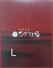 ひだまり健康肌着婦人☀️寒いこの季節にピッタリ！送料込み価格！最強の防寒肌着！