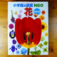 未開封DVD付 花 (小学館の図鑑 NEO)   d2505
