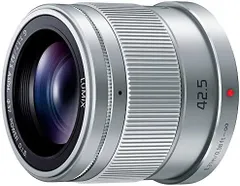 2025年最新】Panasonic G 42.5mm F1.7の人気アイテム - メルカリ