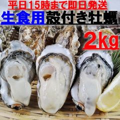 生食用 殻付き 牡蠣 ２ｋｇ（14~30粒）牡蠣 殻付き 牡蛎 牡蠣 殻付宮城県