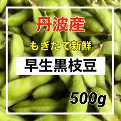 金曜日発送‼️丹波産‼️早生黒枝豆‼️コクと甘味の強い風味豊かな枝豆‼️500g