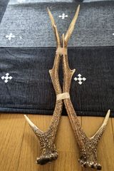 蝦夷鹿の落ち角,「※31本セット」 ,※5万円から毎日お値下げします。 蝦夷鹿の落ち角,「※31本セット」 ,※5万円から毎日お