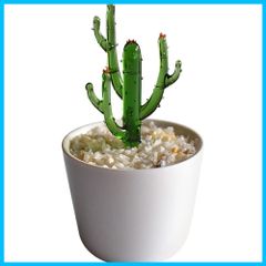 【数量限定】ガラスアート テーブル 机 玄関 手作り オーナメント ミニ植木鉢 人工植物 置物 (柱型のサボテン・Lサイズ) インテリア 鉢植え 小物 オブジェ 飾り物 装飾 工芸品 るり製 HIGHAWK