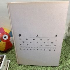 子どもの権利条約と家族・福祉・教育・少年法　子どもたちの笑顔がみえますか, 日本弁護士連合会  (こうち書房)