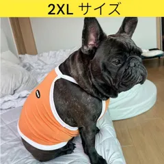 メルカリ フレブル服 接触冷感 ひんやり 2XL クール スポーツ クロップド タンクトップ 中型犬 大型犬 フレンチブルドッグ パグ 夏 doggystar ドッギースター