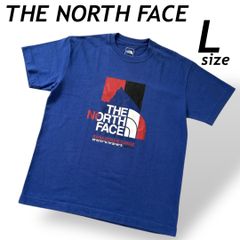 THE NORTH FACE ザ・ノースフェイス メンズ Tシャツ L 半袖 ロゴプリント NT 32132 アウトドア ゴールドウイン ブルー系  (E034)★