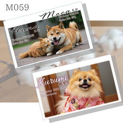 M059 ペット名刺片面100枚　うちの子カード　写真入り名刺　セミオーダー
