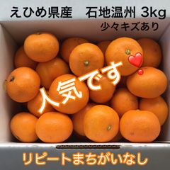愛媛県産　石地温州みかん3kg　小さめ　みきゃん箱入