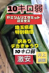 特別栽培！激安！10キロ弱！美味しくてリピーター続出！デカきゅうり！　野菜ソムリエサミット銀賞受賞　農家直送　減農薬　有機肥料　ちょいデカきゅうり　訳あり　10kg