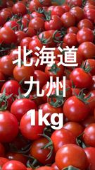 ミニトマト1kg 北海道、九州離島の方