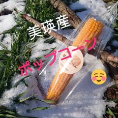 北海道美瑛産はじける！香ばしいポップコーン【2本】