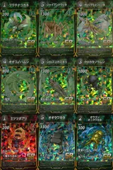 バラ売り可能　カタゾウムシセット　昆虫　標本　虫 バラ売り可能カタゾウムシセット昆虫標本虫