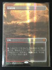 MTG　乾燥台地　ドラゴンスケイル　foil　#tu