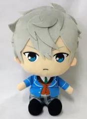 あんさんぶるスターズ!!　いつぬい　瀬名泉 あんスタ 一緒に暮らすぬい いつぬい ぬいぐるみ 瀬名泉 - メルカリ