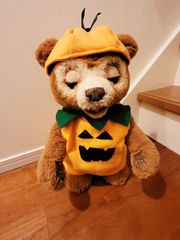 カビーコス こぐまのカビーに着れます