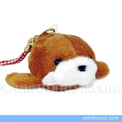 2025年最新】セイウチの牙の人気アイテム - メルカリ