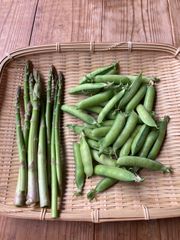 朝採れうすい豆200g アスパラ100g