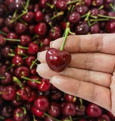 シーズン初入荷〜アメリカンチェリー　さくらんぼ　チェリー　箱込み1kg