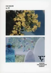 【中古】アイドル雑誌 付録付)CARAT MAGAZINE vol.12