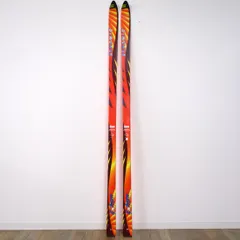 DYNAMIC DIABOLO PHYSIO 160cm カービングスキー DYNAMIC DIABOLO PHYSIO 160cm カービングスキー