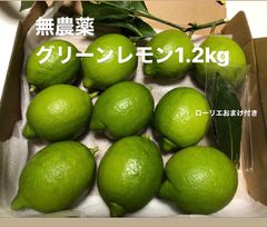 グリーンレモン1.2kg 無農薬