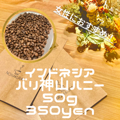 【おためし価格！女性におすすめ】インドネシア産　バリ神山ハニー　50g