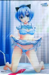 【中古】タペストリー [単品] 柊栞里 B2タペストリー 「PS4/Switchソフト かけぬけ★青春スパーキング!」 アニメイト購入特典