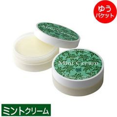 【ゆうパケット/】北見 ハッカ通商 ミントクリーム 20g【北海道産 ハッカ油 スプレー ミント ミントスプレー アロマ 天然 はっか 北見 北海道 クリーム 防臭 香水 気分転換】