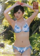 即購入可】NMB48 AKB48 山本彩 生写真 なんば自治区 特典 水着 - メルカリ