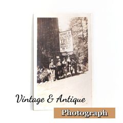 1920s 1930s 1940s オリジナル セピア 白黒 モノクロ スナップ写真 ビッグツリー オールド ビンテージ アンティーク コレクション U.S.A 米国