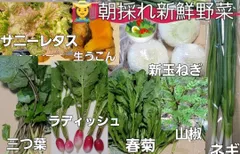 2024年最新】ウコン種芋の人気アイテム - メルカリ