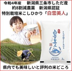 令和5年産新米　減農薬　新潟こしひかり白米10kg 新潟県三条市旧しただ村産　新潟県認証　特別栽培米100% グルテンフリー　送料無料