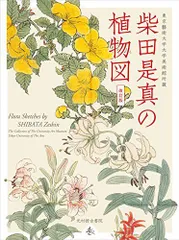 柴田是真風◇明烏蒔絵盃◇あけがらす◇土佐光芳下絵◇江戸時代