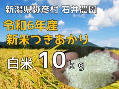 【24年産・送料込み】　令和6年産つきあかり【白米 10kg】　新潟県弥彦村 石井農園のサムネイル