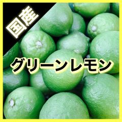 国産!! グリーンレモン　1キロ  和歌山県　有田市　産地直送