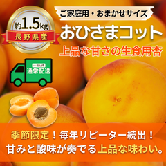おひさまコット～上品な甘さの生食用杏～【内容量】約1.5kg【配送方法】通常配送【サイズ】当店お任せ【品目】杏（あんず）【品種】当店お任せ【産地】長野県【規格】ご家庭用A品B品混合【詰め方】パック詰め【配送までの日数】1～4日