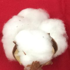 No.8 近江ちぢみ敷きパッド ちぎれない麻わた 日本製 麻100％ 2枚