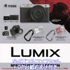 2025年最新】lumix gh5の人気アイテム - メルカリ