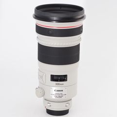 Leica ライカ モーターワインダーR8 R9用 14209 MADE IN