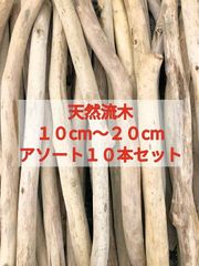 【送料無料】南信州産 天然流木 まがり屋流木 枝流木 アソート（１０cm以上２０cm未満） 【１０本セット】まとめ売り セット販売淡水流木 川流木 流木格安販売 流木卸売 短い流木