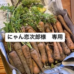 にゃん恋次郎様　専用