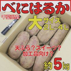 さつまいも 大きい べにはるか（2L～4L） 5kg【土付き】のサムネイル