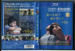 ザ・ブルー/ 中古DVD レンタル落ち/クリスティン・ミラー/エレナ・ウーリグ/y6158 - メルカリ