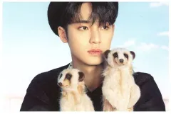 【中古】ポストカード ミンギュ(SEVENTEEN)/横型・顔アップ オリジナルポストカード(Cタイプ) 「D’FESTA TOKYO」