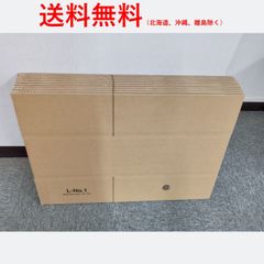 段ボール100サイズ　　10枚セット