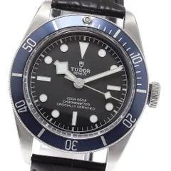 チュードル TUDOR 79230B ヘリテージ ブラックベイ 自動巻き メンズ保証書付き_868914のサムネイル